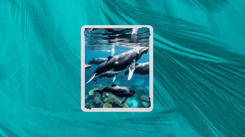 Un deseo hecho realidad