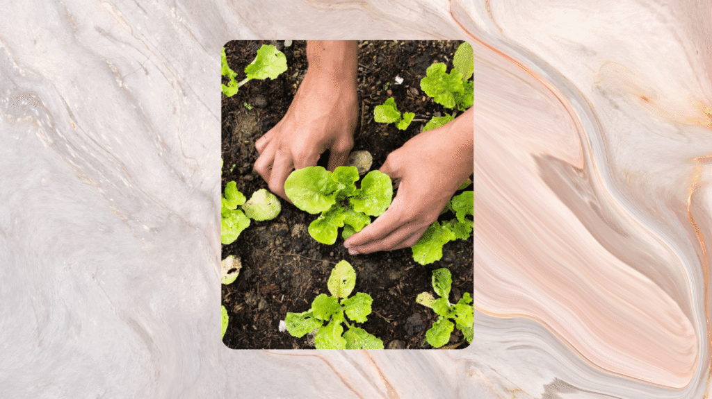 Entre papas, ciencias y sueños