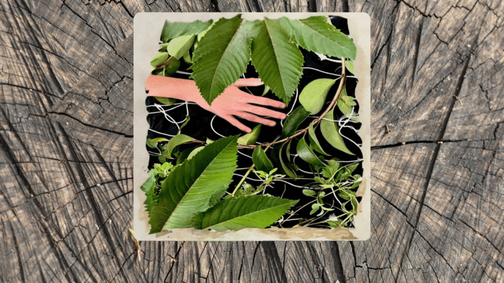 El guardián del monte