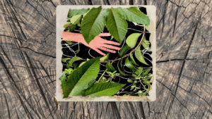 El guardián del monte