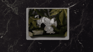 El guardián de la cueva