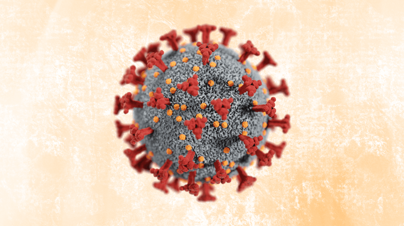 HPV