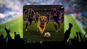 COCO EL PERRO FUTBOLERO