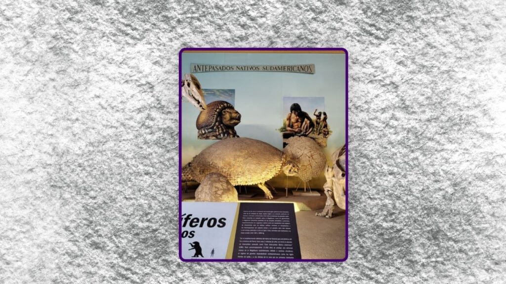 SALA DE PALEONTOLOGÍA