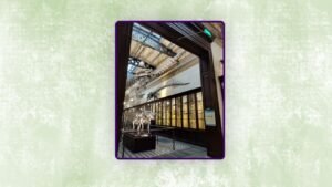 SALA DE OSTEOLOGÍA COMPARADA