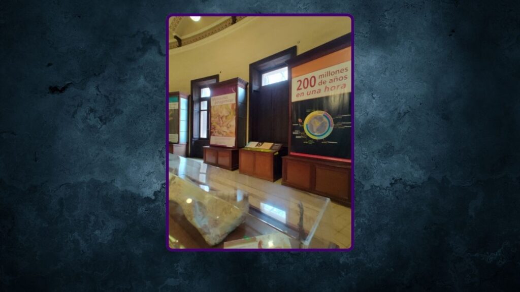 SALA DE CIENCIAS DE LA TIERRA